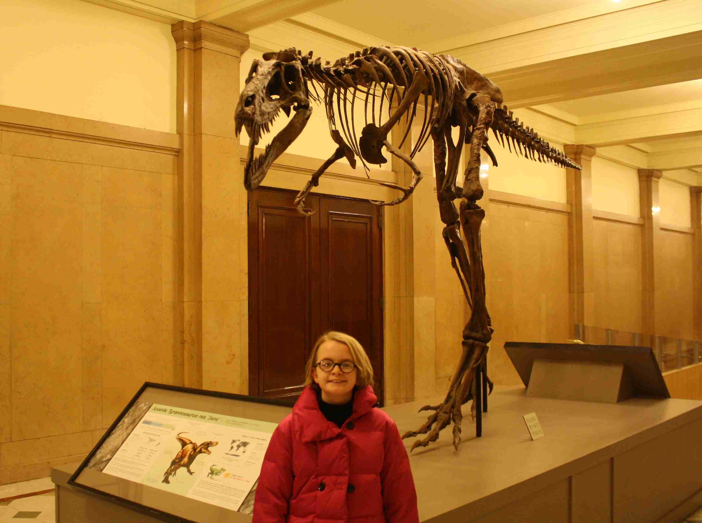2014-01-02 T-Rex Jane.jpg